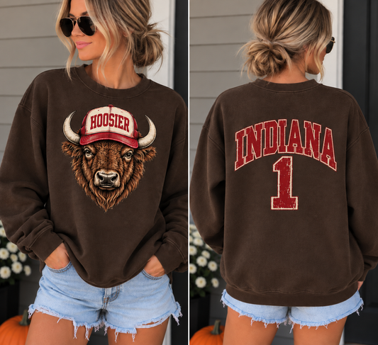 Hoosier Bison Sweatshirt | Indiana 1 Crewneck | Vintage Indiana Sweatshirt | Hoosier Game Day Shirt | Indiana College Inspired Crewneck
